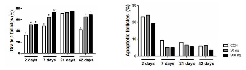 (좌) 난소조직 이식 전 다양한 농도의 angiopoietin-2를 복강 내 주사한 후 나타나는 grade I follicle rate 변화 (우) 난소조직 이식 전 다양한 농도의 angiopoietin-2를 복강 내 주사한 후 나타나는 apoptotic follicle rate 변화