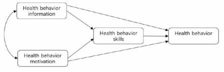 Information-Motivation-Behavioral Skills Model