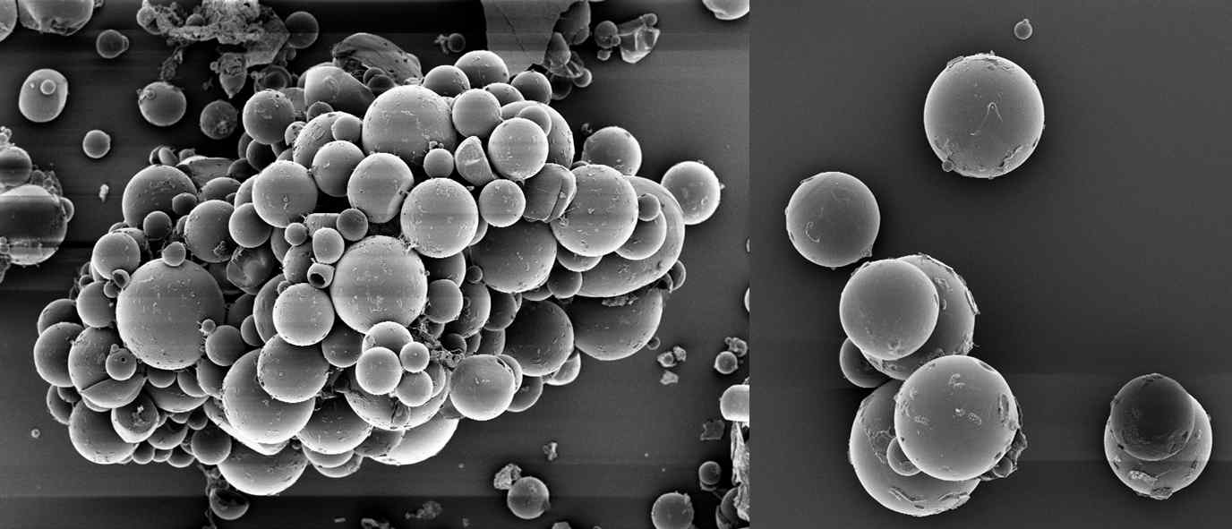 제조된 담수어 질병 예방용 JUNAH-PLGA 백신의 전자 현미경 사진