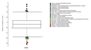Cancer Therapeutic Response Portal version 2 (CTRP v2) 프로그램을 이용하여 소분자 표적치료제와 WWTR1 유전자발현량과의 상관관계를 알아보고자 481개의 소분자 표적치료제에 대한 860개의 사람유래 암세포주의 반응성을 알아보았음(그림 1). Tyrosine kinase inhibitor로서 EGFR과 HER2 pathway를 억제하는 Lapatinib, Erlotinib, Afatinib이 WWTR1유전자가 과발현 되어있는 세포주에서 높은 민감도를 보임. 이는 TAZ와 Hras의 조합이 간암 발생에 주요한 역할을 하는 것으로 보임
