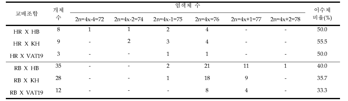 교배 10주 후 구출된 배에서 형성된 식물체에서의 이수체 획득비율