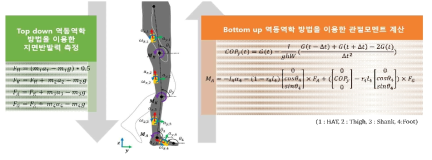 가만히 서 있을 시의 발목 관절 모멘트 측정 시스템