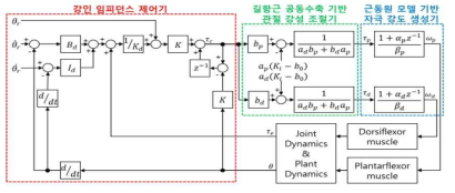 길항근 공동수축이 포함된 강인 관절 임피던스 제어 알고리즘 도식도