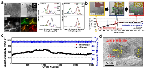 (a) 양극 MoSx/r-GO의 SEM 이미지 및 XPS 표면 분석. (b) 전기화학적 in-situ 방법을 이용한 나노 크기 형성법. 마이크로 크기의 MoS3/r-GO 양극을 전기화학적 in-situ 방법을 이용한 나노 크기 (5-7 nm) 형성 과정 및 충방전 성능 변화. (c) 전기화학적 in-situ 처리를 한 MoS3/r-GO 양극의 고 전류 밀도 (5.0 A/g)에서의 충방전 성능. (d) 100 사이클 후 양극 MoS3/r-GO 상에 형성된 고체전해질 계면(SEI) TEM 이미지. (ACS Nano, 13 (2), 1490-1498 (2019))