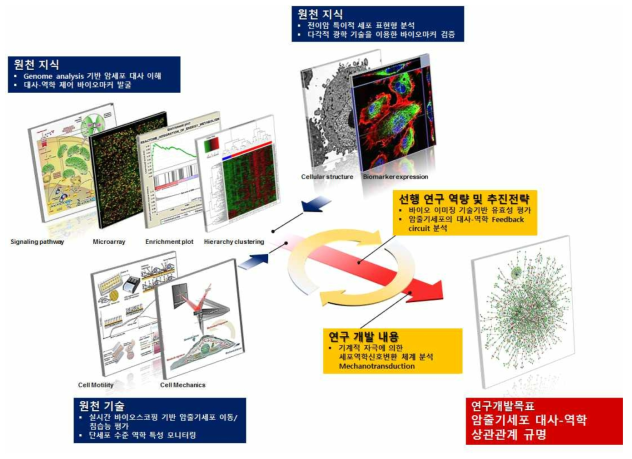 본 과제 수행을 통한 전이암 대사-역학 정보 분석 알고리즘 개발 개요