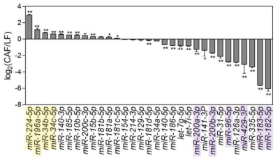 선별된 miRNA의 qRT-PCR