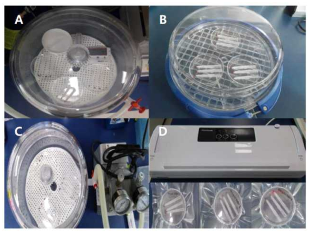 Different drying conditions for ASA-containing whole blood samples collected by VAMS. A) Desiccator with calcium chloride, B) hypoxia chamber with nitrogen, C) desiccator with vacuum, D) household vacuum sealer