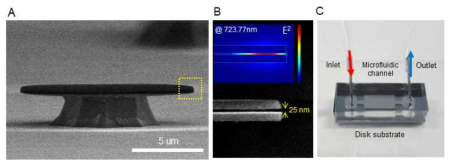 A. 실리콘 나노 클러스터가 삽입된 광 공진기의 SEM 이미지. B. 공진기 내부에 삽입된 나노-갭과 사진과 나노-갭 내부 E-field의 프로파일. C. 광 소자와 미세유체채널이 결합된 온-칩 센서의 사진