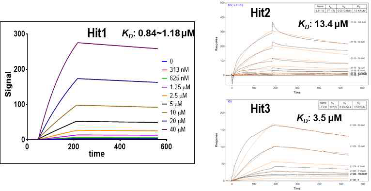 선별된 후보물질과 KRAS-G12V의 결합력 측정