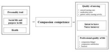 compassion 역량 분석모형