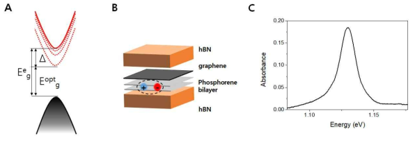 (A) 엑시톤 전자 구조 (B) 그래핀으로 인한 Dielectric screening (C) Bilayer phosphorene의 Absorbance