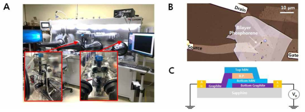 (A) 시료/소자 제작용 글로브 박스 시스템 (B) 흑린 초미세 박막 FET 소자 현미경 사진 (C) 흑린 초미세 박막 소자 구조