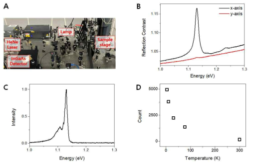 (A) 레이저 분광 시스템 (B) 흡수 스펙트럼. x-axis는 빛 편광이 크리스탈의 armchair, y-axis는 zig-zag 방향일 때를 의미함. (C) 발광 스펙트럼 (D) 발광 신호 (1.13 eV)의 온도 경향성