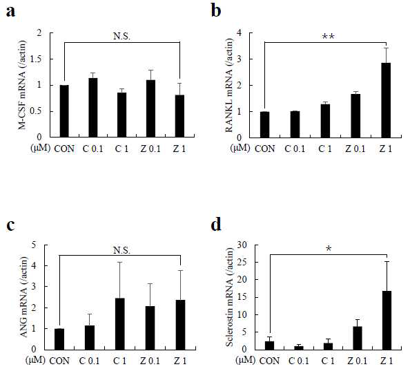N-BP인 zolendronate에 의해 골세포의 RANKL mRNA 발현이 증가함