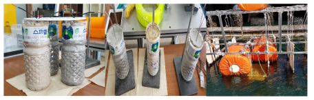 Corrosion resistance evaluation in sea water