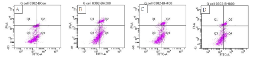 Granulosa cell from primary culture에서 rHMGB-1 처리 농도에 따른 cell apoptosis 변화