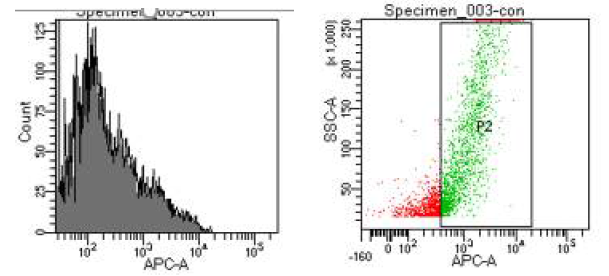 FSH Recptor가 발현된 cell population을 FACS로 확인함 (Primary cultured granulosa cell)