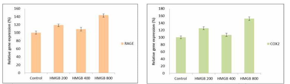 Primary cell culture-Granulosa cell from endometriosis patient에서 rHMGB-1 처리에 따른 RAGE, COX2의 RNA expression변화