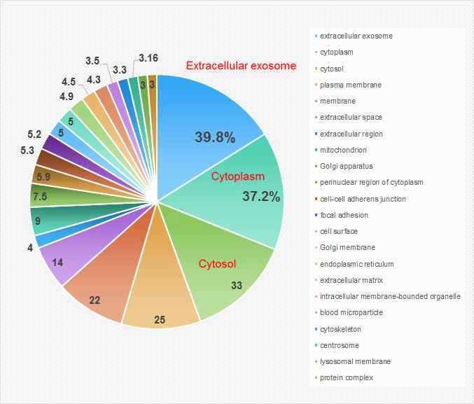 단백체분석 data: Cellular component