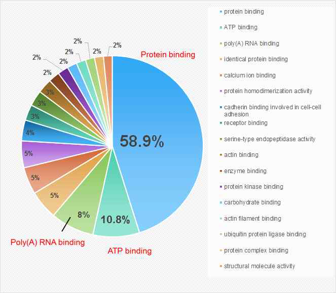 단백체분석 data: Molecular function