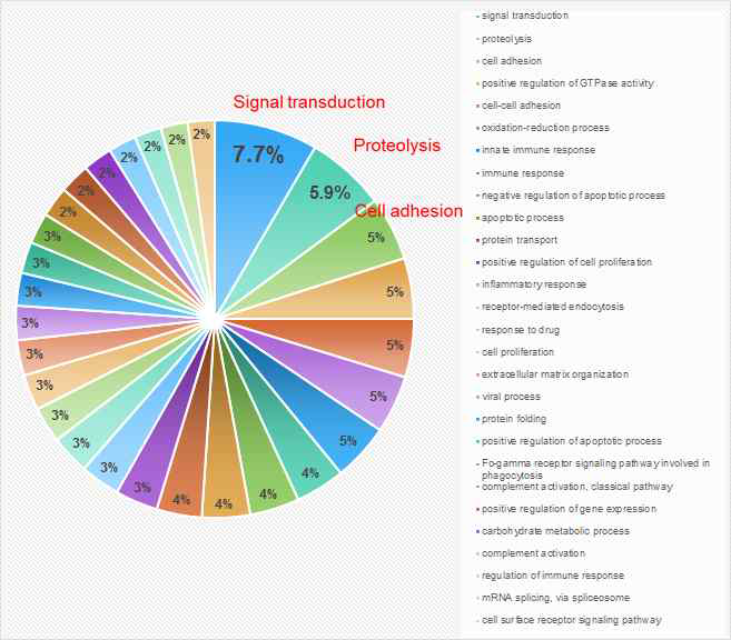 단백체분석 data: Biologic process