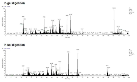 in-gel digestion 및 in-sol digestion 결과