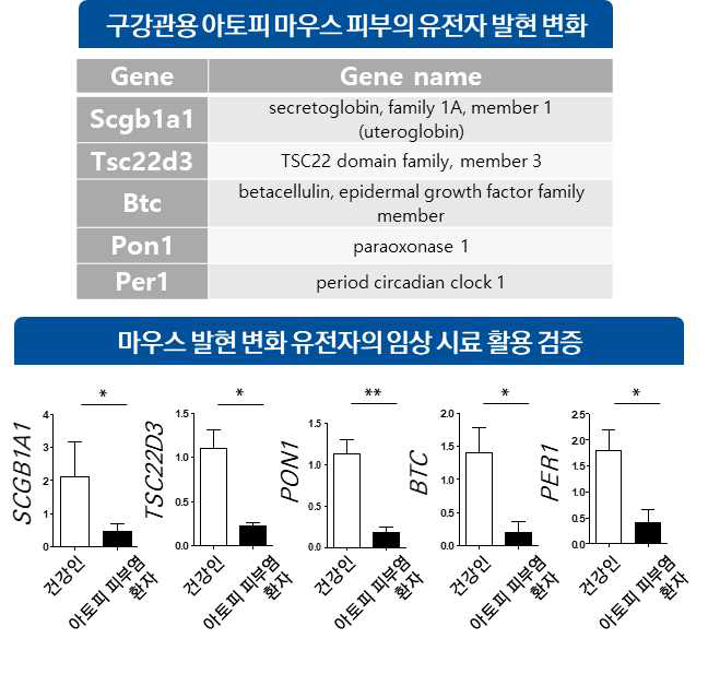 구강관용에 의한 아토피 마우스 아토피 피부염 전사체 변화와 환자 시료를 활용한 검증