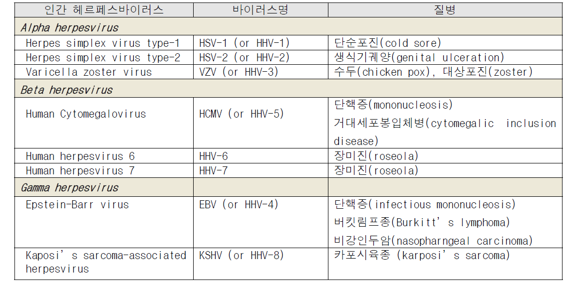 인간 헤르페스바이러스의 분류