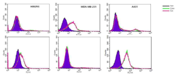 두경부암 세포주의 EGRF aptamer (CL4) 의 binding affinity