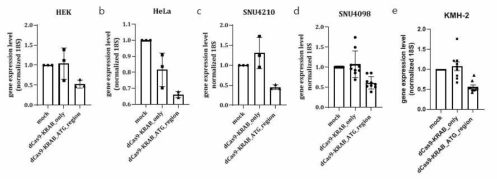 여러 cancer cell line에서 dCas9-KRAB CRISPR 의 TERT repession 효과