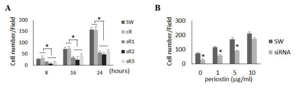 Periostin이 연골육종 세포주의 이동에 미치는 영향 (migration assay)