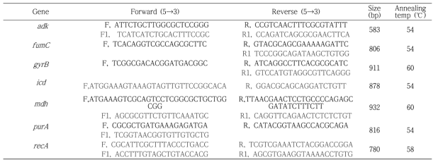MLST 분석을 위한 7개의 유전자위 및 프라이머의 정보