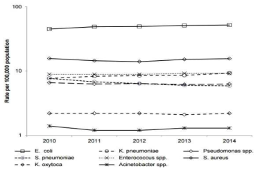 연도별 세균별 균혈증 발생률 변화(영국 2010-2014)