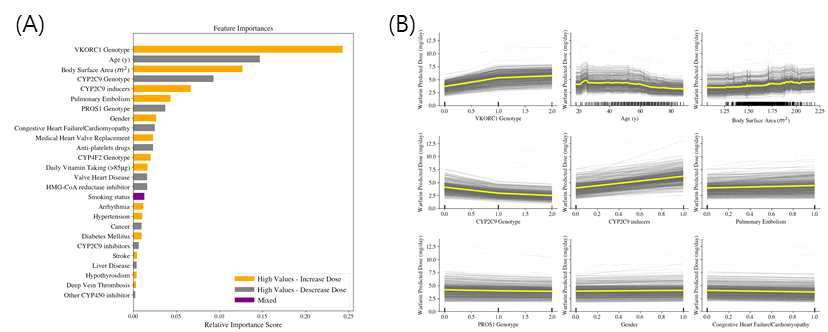 개발된 예측 모델에서 변수 중요도를 큰 순서로 나열하고, 부분의존성 플롯을 이용해 각 변수의 단독 효과를 표시하였다. (B)에서 나이나 체표면적이 처방 용량에 미치는 효과를 직관적으로 확인할 수 있다