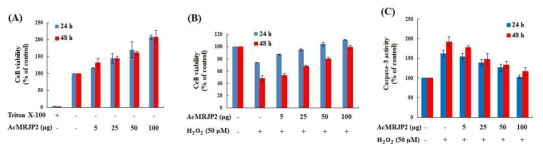 Antioxidant activity of AcMRJP2. (A) Cell viability after treatment with AcMRJP2. (B) Cell viability after treatment with AcMRJP2 and H2O2. (C) Caspase-3 activity after treatment with AcMRJP2