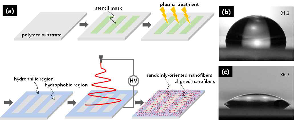 (a) 산소 플라즈마를 이용한 전기 방사 패텅닝 방법에 대한 개념도. (b) 소수성 표면의 접촉각. (c) 친수성 표면의 접촉각