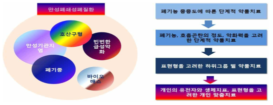 만성폐쇄성폐질환의 임상적 특징에 따른 표현형 및 치료 패러다임의 변화