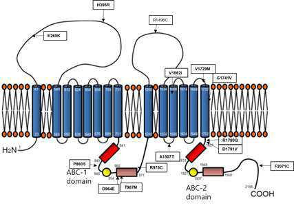 Mutations in ABCA7 gene