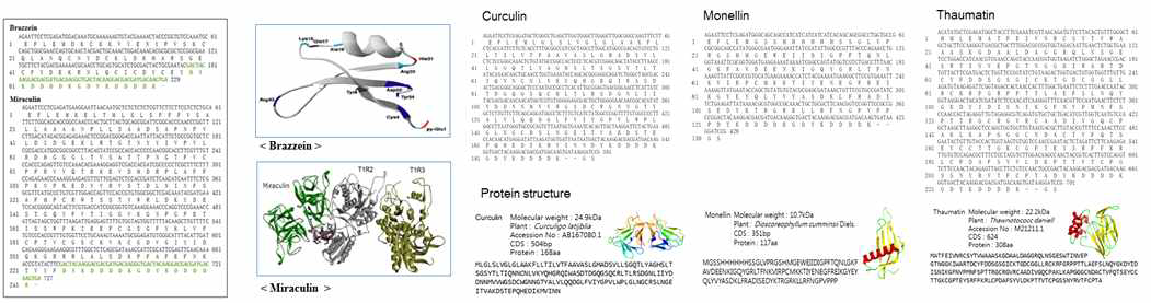 Nucleotide and deduced amino acid sequence of miraculin, brazzein, curculin, monellin and thaumatin genes. Bold green text; Flag taq. Protein structure of sweetener’s gene encoding taste-modifying protein