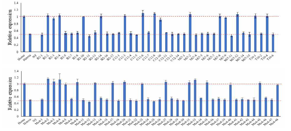 TaqMan PCR analysis of SWEETER genes for single copy in T0 transgenic lines. Homo, T1 homo; Hetero, T1 hetero; NT, negative control