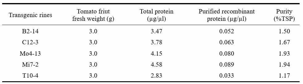 Purification of recombinant protein from rice callus cell lines. TSP, total soluble protein