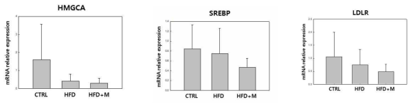 17주 후 간 조직에서 HMG-CoA reductase, SREBP, LDL-receptor 의 발현