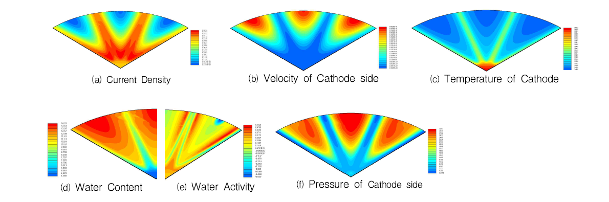 원형 직선 유동장의 수치해석 주요 결과; (a) Current density, (b) Velocity of cathode side, (c) Temperature of cathode, (e) Water activity, (f) Water content, (d) Pressure of cathode