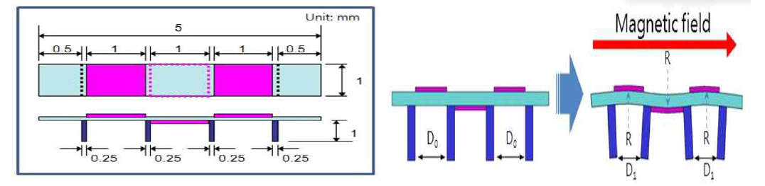 Schematic design with photograph of a graphene imbedded TbFe thin film insect actuator and its deflected motion and and magnetic filed direction