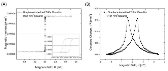 (A) Magnetic moment of graphene imbedded TbFe thin film of the insect actuator as a function of magnetic field & (B) Curvature change investigation of a graphene imbedded TbFe 10 μm film of 1ⅹ1 mm2 section