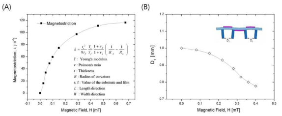 (A) Magnetostriction result of a graphene imbedded TbFe 10 µm film from the curvature changes & (B) Distance difference between legs of the insect actuator under sinusoidal magnetic field change