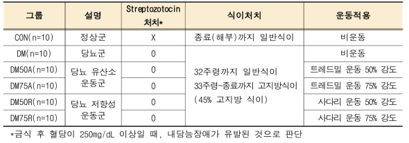 2년차 실험 디자인