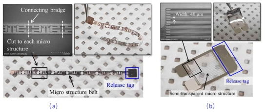 Fabrication results of Ni-Co thin films patterned into individual shape; (a) belt-type micro structure and (b) semi-transparent micro structure