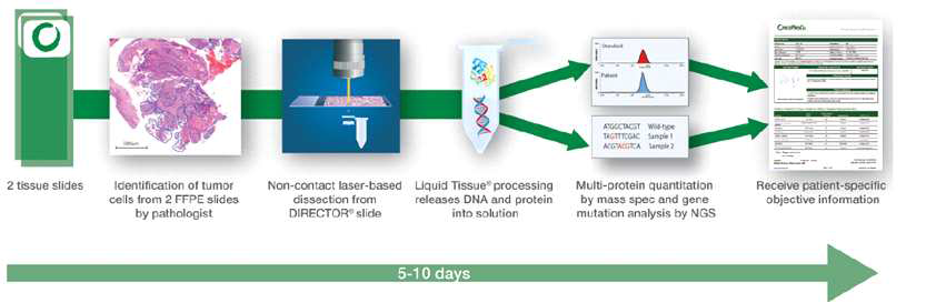 Multiplexed mass spectrometry-based SRM assay