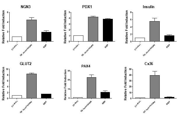 PCR for differentiation into pancreatic islet-like cells